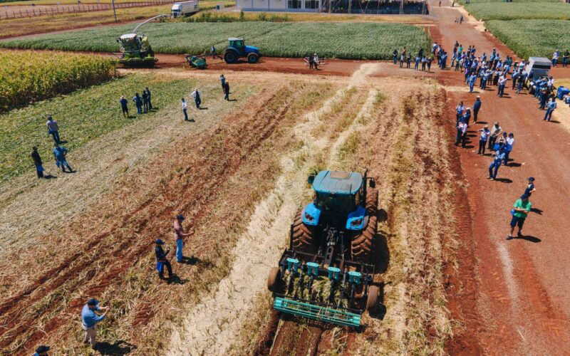 descubra as inovacoes dia de campo da cvale atraindo multidoes