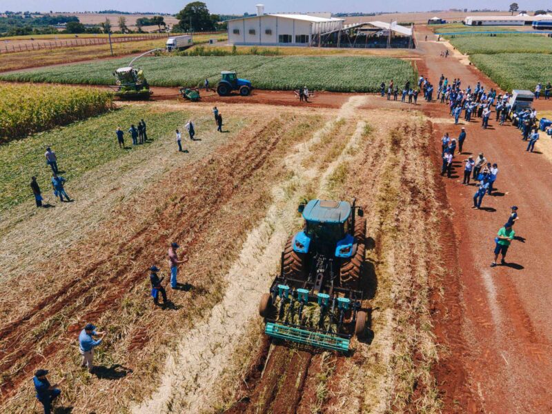 descubra as inovacoes dia de campo da cvale atraindo multidoes