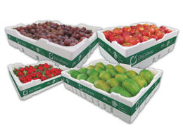 Descubra as Inovadoras Conservadoras DaColheita da Termotécnica na e-Agro 2024: Transforme Sua Produção! 22 descubra as inovadoras conservadoras dacolheita da termotecnica na e agro 2024