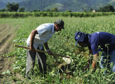 descubra as novas ideias premiadas para uma agricultura sustentavel em