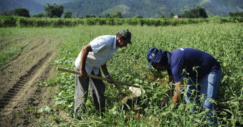 descubra as novas ideias premiadas para uma agricultura sustentavel em