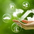 descubra as principais tendencias de sustentabilidade para 2025 reveladas pela.webp