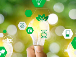 descubra as principais tendencias de sustentabilidade que vao transformar 2025