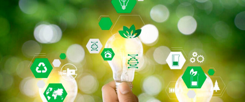 descubra as principais tendencias de sustentabilidade que vao transformar 2025