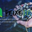 descubra as variacoes surpreendentes dos precos da tilapia por regiao