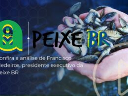 Descubra as Variações Surpreendentes dos Preços da Tilápia por Região no Brasil! 13 descubra as variacoes surpreendentes dos precos da tilapia por regiao