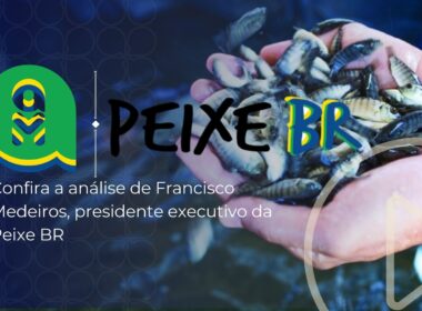 descubra as variacoes surpreendentes dos precos da tilapia por regiao
