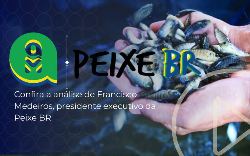 descubra as variacoes surpreendentes dos precos da tilapia por regiao