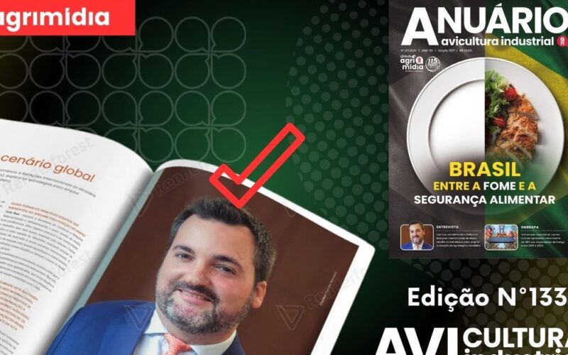 descubra as visoes de luis rua o futuro do brasil