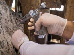 Descubra como a auditoria federal impulsionou os serviços veterinários em Mato Grosso! 14 Nota do serviço veterinário de Mato Grosso cresce em auditoria federal