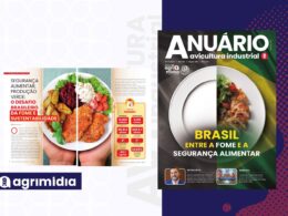 descubra como a avicultura brasileira pode combater a fome e