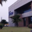 descubra como a frisia conquistou uma posicao de destaque no