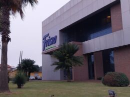 descubra como a frisia conquistou uma posicao de destaque no