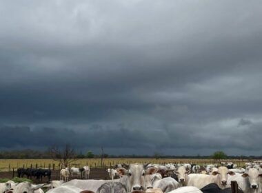 Instabilidade climática persiste: saiba como isso impacta a agropecuária