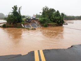 Descubra Como a Nova Linha de Crédito BNDES Pode Salvar o Agro no RS 11 descubra como a nova linha de credito bndes pode salvar