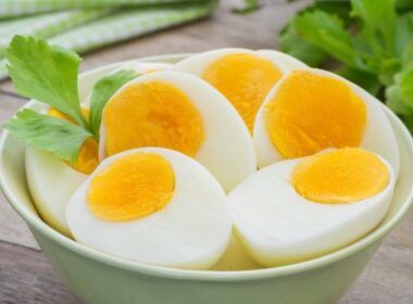 descubra como a producao de ovos para consumo bateu recorde