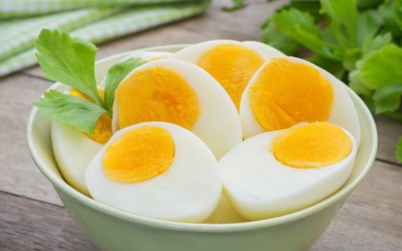 descubra como a producao de ovos para consumo bateu recorde
