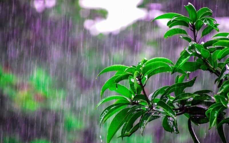 Chuvas volumosas marcam o clima no centro-norte do Brasil