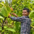 descubra como cofinanciamento potencializa o investimento social privado na amazonia