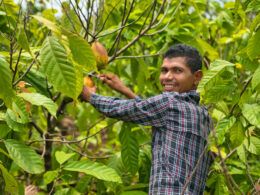 descubra como cofinanciamento potencializa o investimento social privado na amazonia