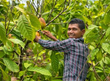 descubra como cofinanciamento potencializa o investimento social privado na amazonia