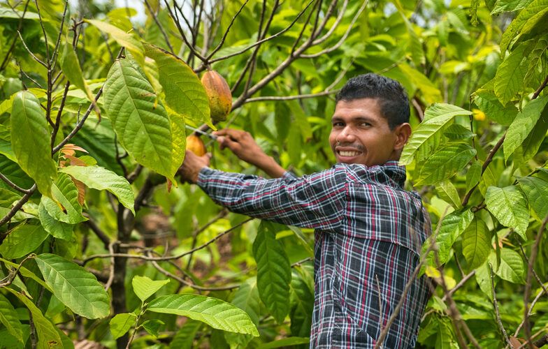 descubra como cofinanciamento potencializa o investimento social privado na amazonia