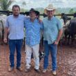 Pecuaristas terminam gadão Nelore e Angus com show de peso e qualidade no Pará