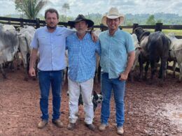 Pecuaristas terminam gadão Nelore e Angus com show de peso e qualidade no Pará