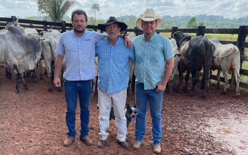 Pecuaristas terminam gadão Nelore e Angus com show de peso e qualidade no Pará