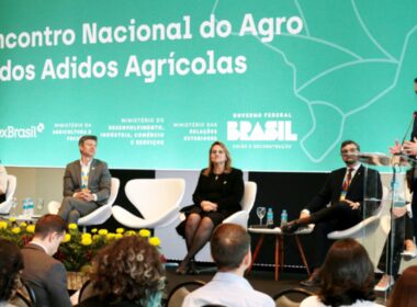 descubra como o agro brasileiro conquista o mundo destaques do