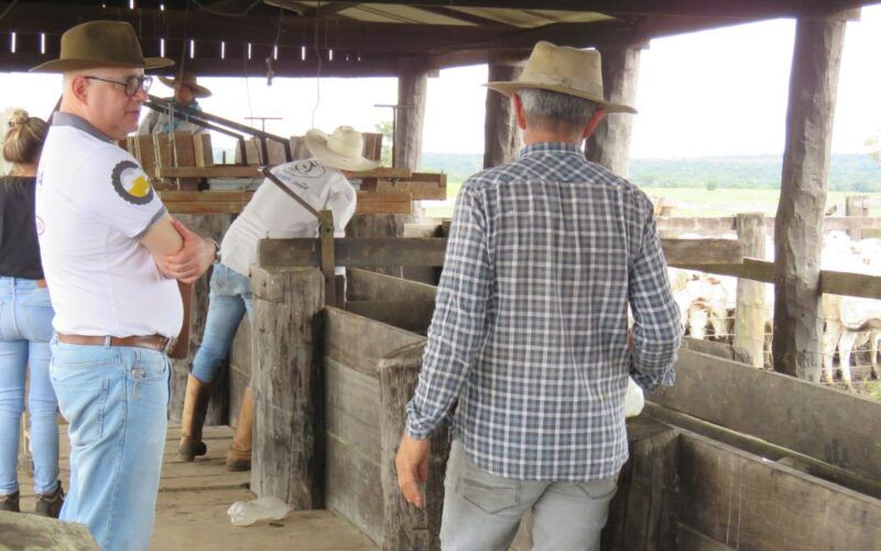 Maior aporte tecnológico faria Brasil produzir a demanda de carne bovina no mundo