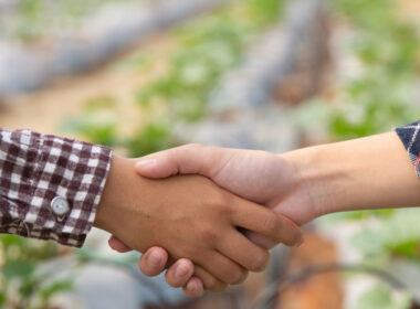 descubra como o brasil se tornara potencia agricola global ate