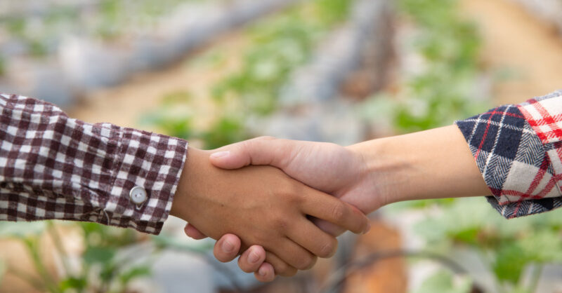 descubra como o brasil se tornara potencia agricola global ate