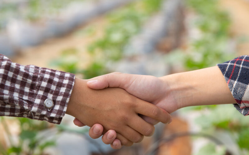 descubra como o brasil se tornara potencia agricola global ate