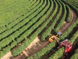descubra como o cadastro ambiental facilita o calculo do seu