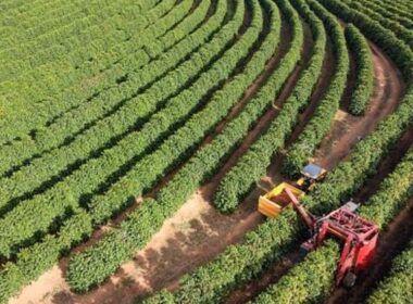 descubra como o cadastro ambiental facilita o calculo do seu