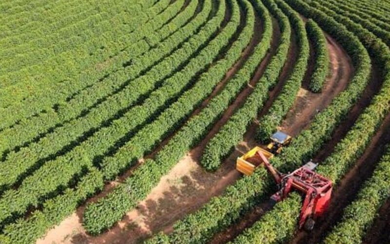 descubra como o cadastro ambiental facilita o calculo do seu