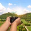 descubra como o esg transforma a agroindustria brasileira em lider