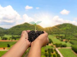 descubra como o esg transforma a agroindustria brasileira em lider