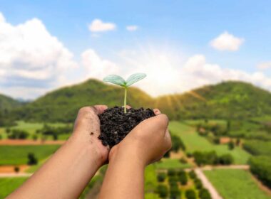 descubra como o esg transforma a agroindustria brasileira em lider
