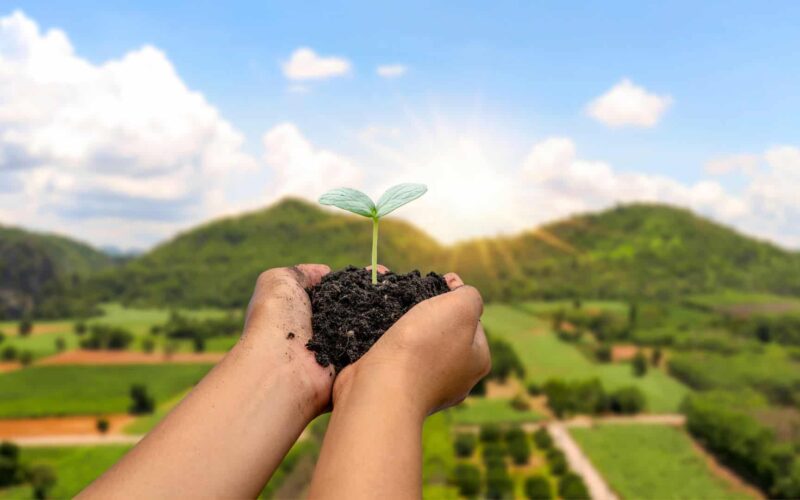 descubra como o esg transforma a agroindustria brasileira em lider