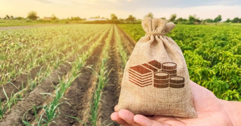 descubra como r 10 milhoes em subsidios vao proteger sua