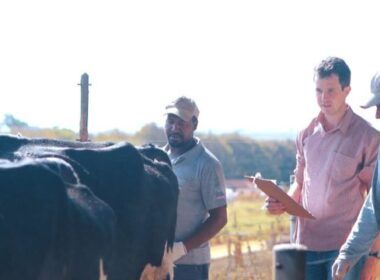 Saiba por que a melhor gestão de pessoas turbina os resultados na fazenda