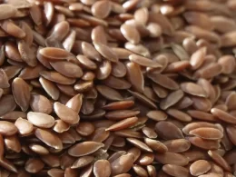 descubra o futuro sustentavel bioplastico inovador feito de alimentos por.webp