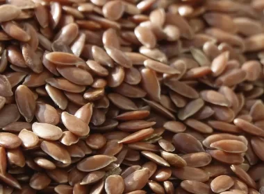 descubra o futuro sustentavel bioplastico inovador feito de alimentos por.webp