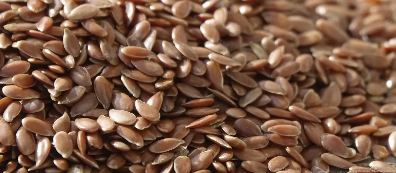 descubra o futuro sustentavel bioplastico inovador feito de alimentos por.webp