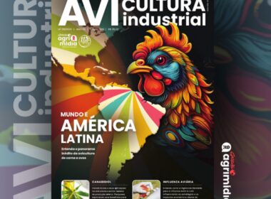 descubra o novo cenario da avicultura inovacoes e tendencias na