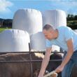descubra o potencial do mercado de filmes agricolas pe inovacoes.jpgmaxwidth1200