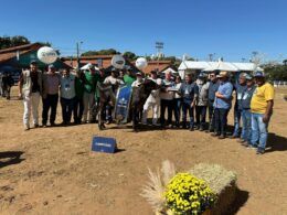 descubra o segredo para transformar sua fazenda leiteira em um