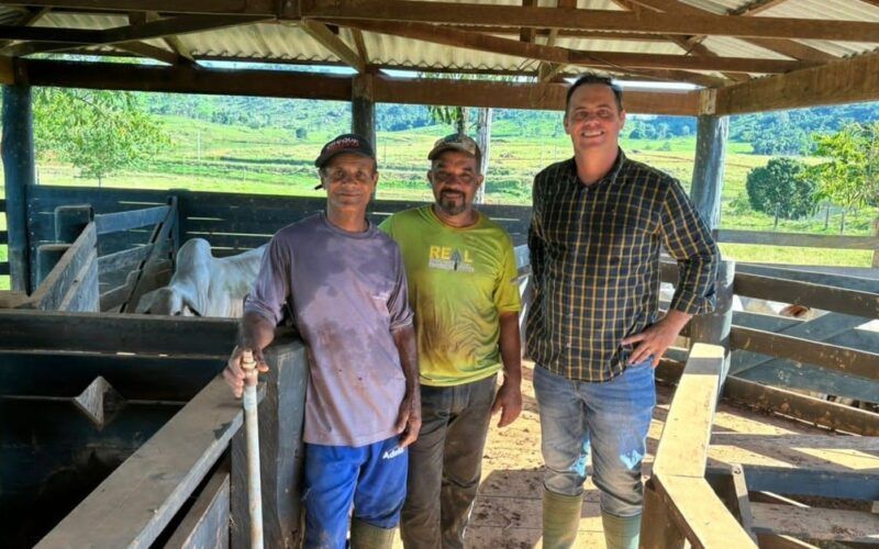 Cocho farto e pasto irrigado faz boiada espetacular com 18@ no interior de Rondônia
